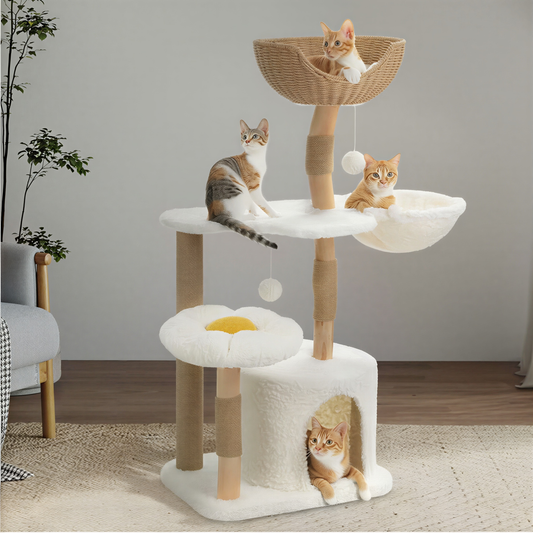 Arbre à Chat en Bois Design | Salice
