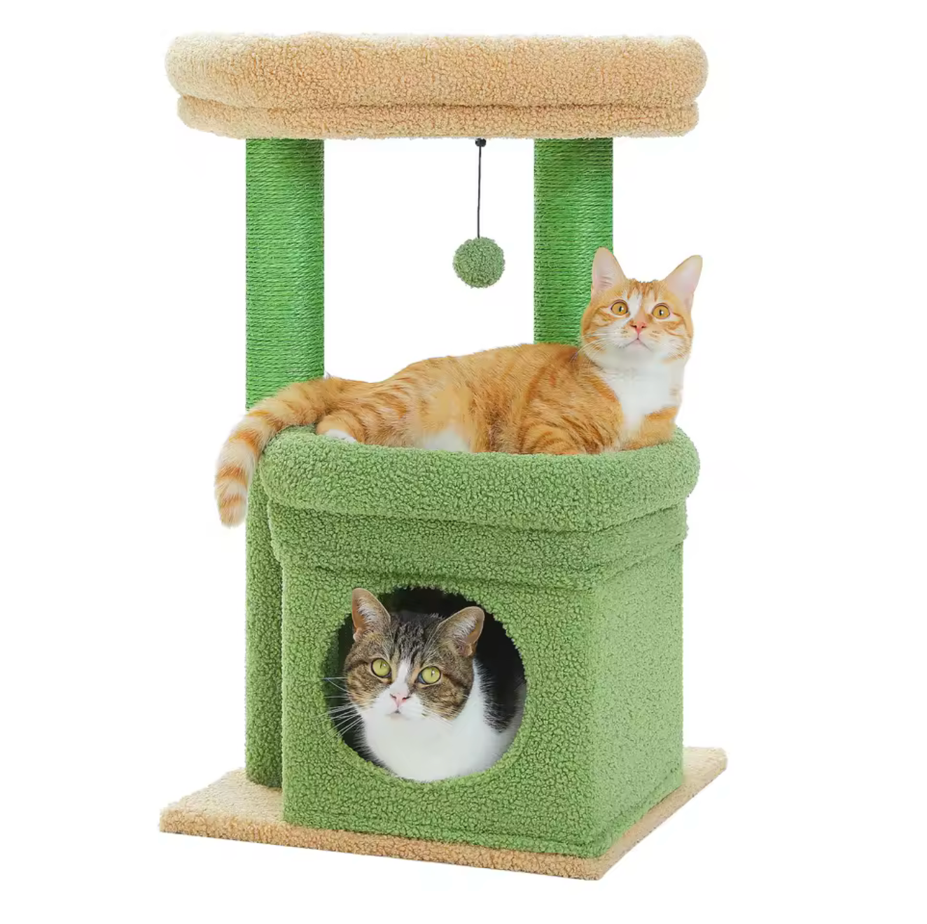 Petit arbre à chat | Ontano