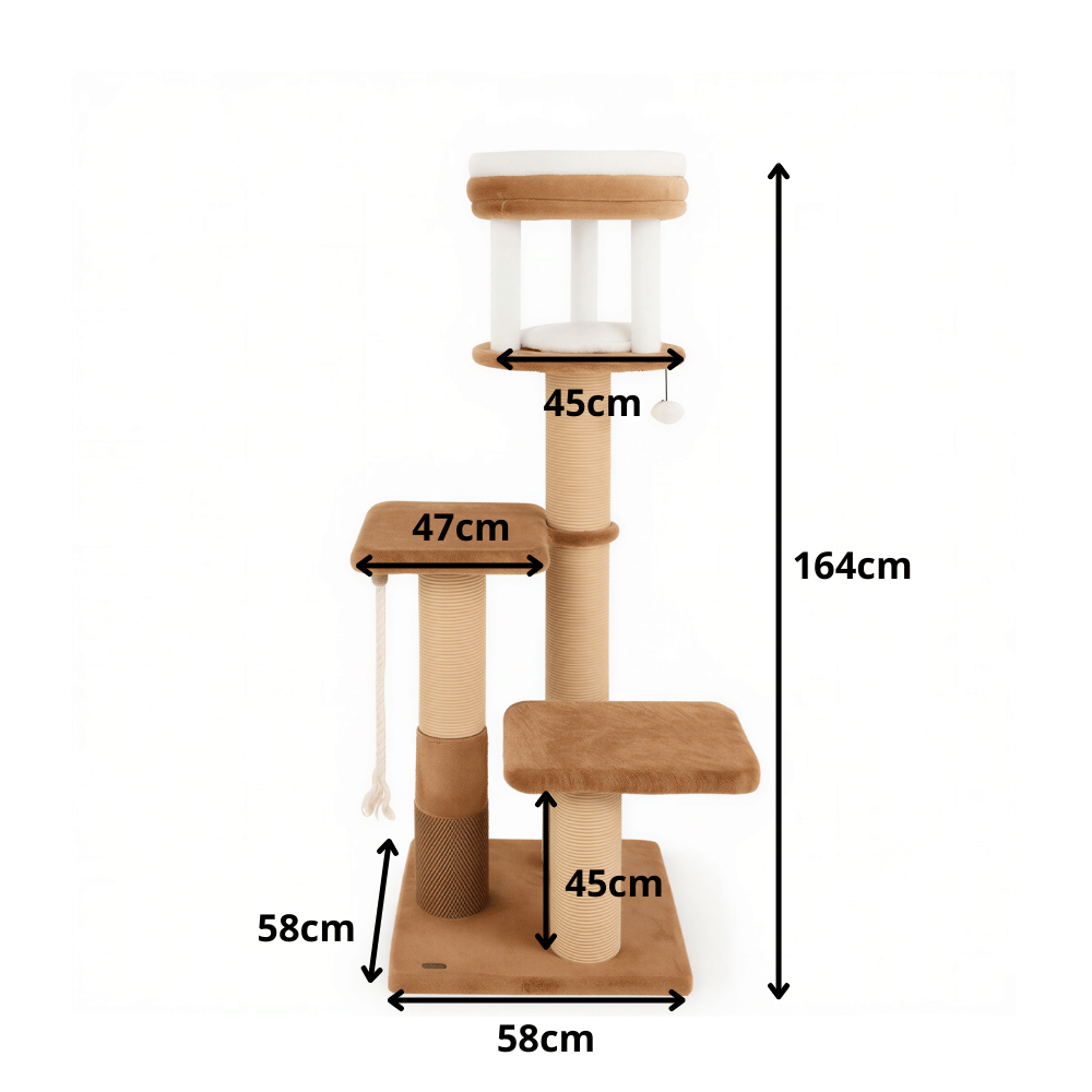 Arbre a chat XXl 164 cm| Alba