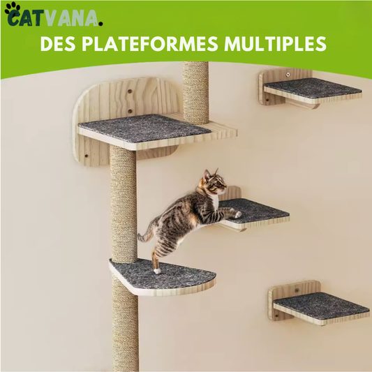 Arbre à Chat Mural - Canyon - Ensemble 7 Pièces en Bois
