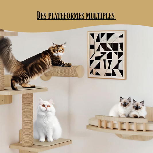 Arbre à chat mural Skyline – 7 pièces en bois avec sisal – GrandFelin