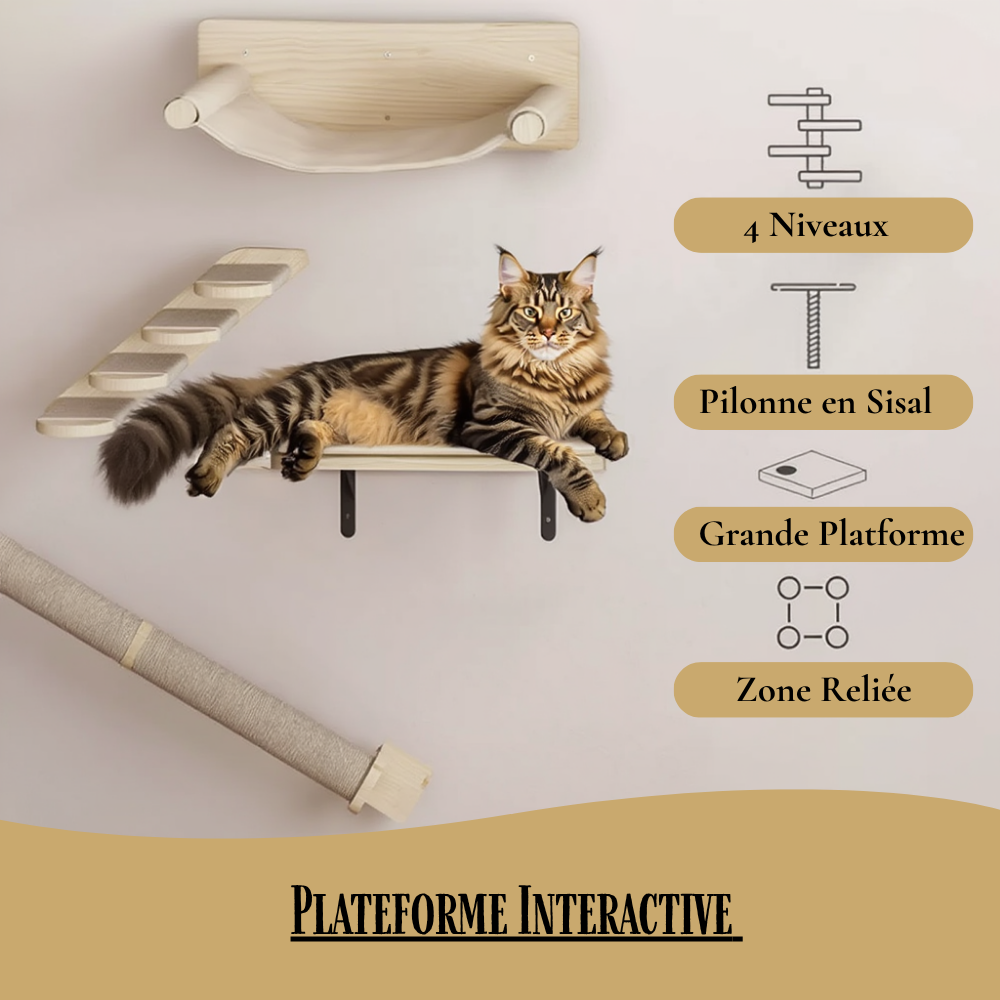 Arbre à chat mural Explorer – Ensemble 7 pièces en bois – GrandFelin