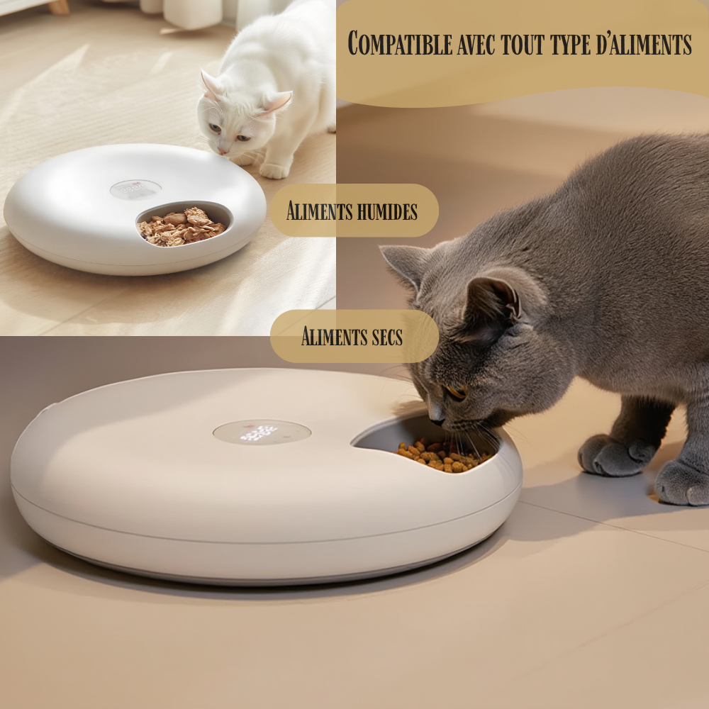 Distributeur automatique réfrigéré pour chat FeedFlow Stream 6 repas