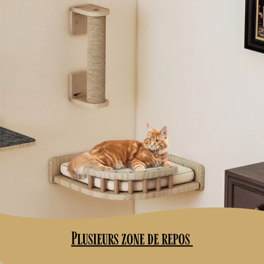 Arbre à chat mural Canyon – Ensemble 7 pièces en bois – GrandFelin