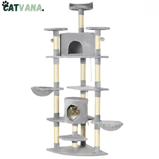 Arbre à Chat - TreeCat - 200 cm- Multi-Niveaux avec Grottes et Hamacs