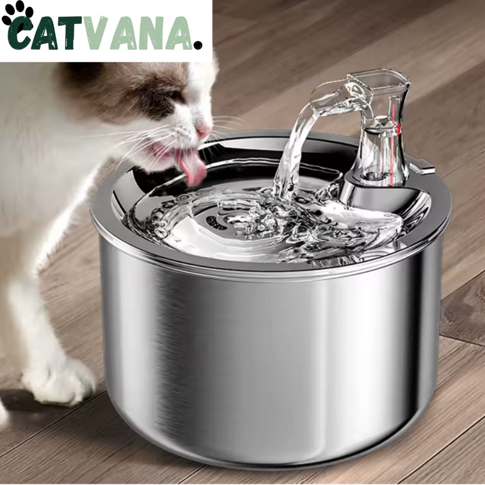 Fontaine à Eau pour Chat HydraLite 2L Inox Filtration Multicouche