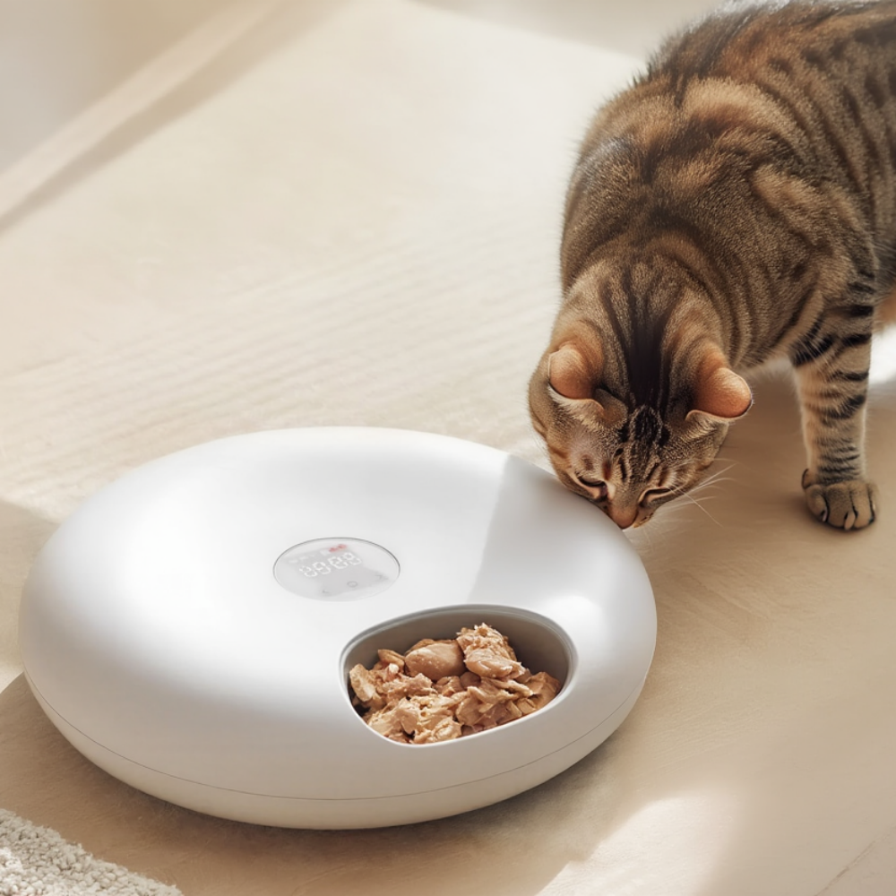 Distributeur automatique réfrigéré pour chat FeedFlow Stream 6 repas
