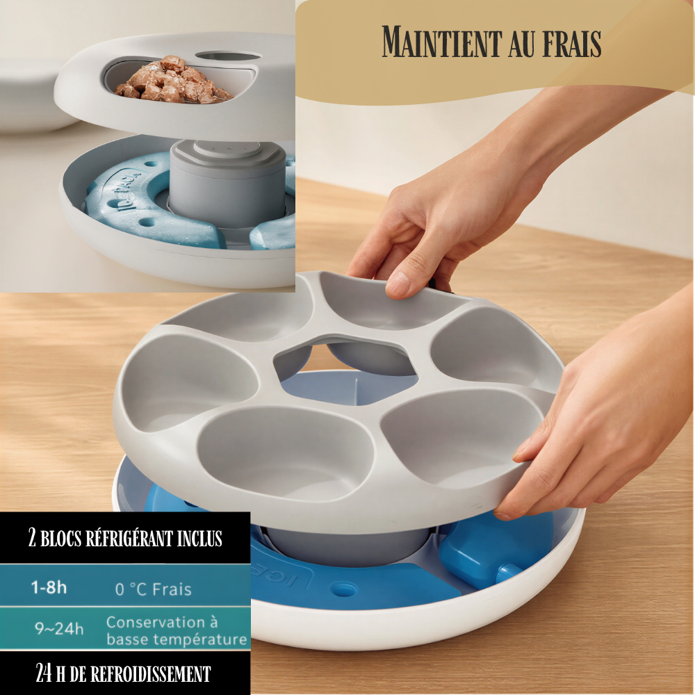 Distributeur automatique réfrigéré pour chat FeedFlow Stream 6 repas