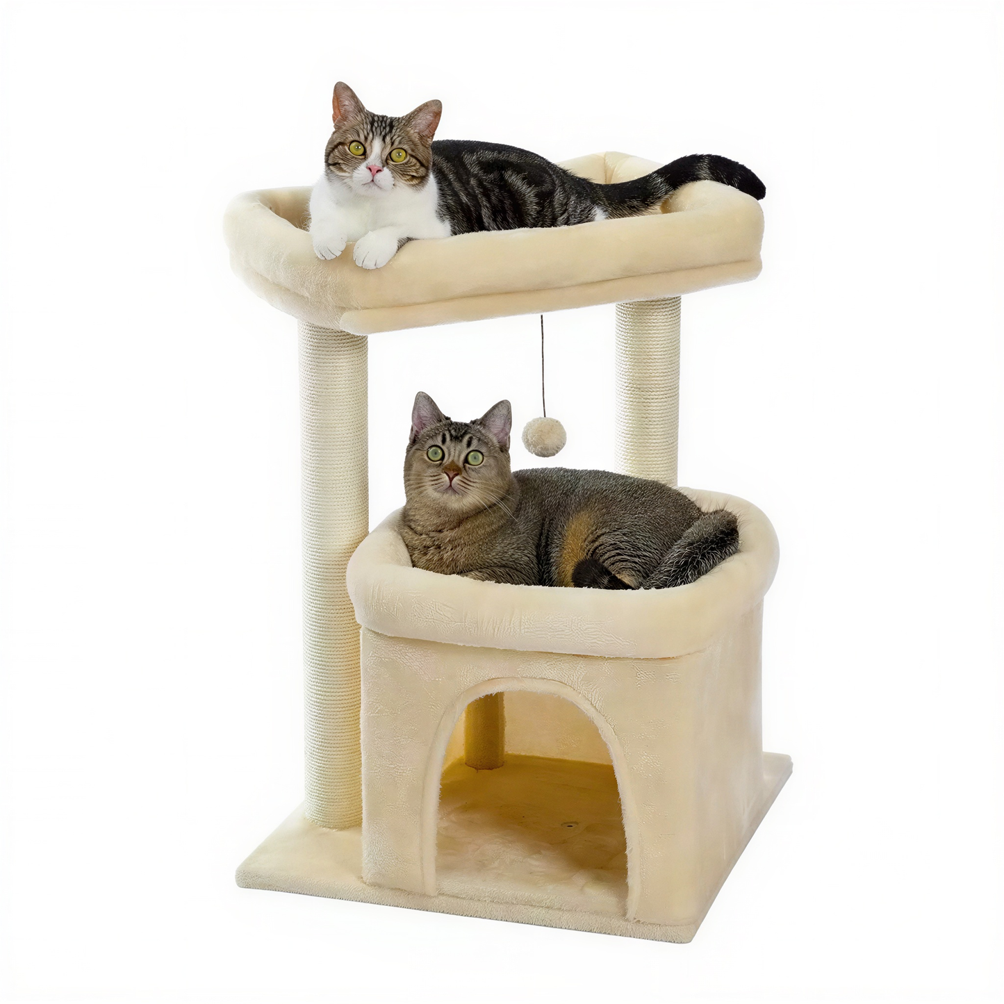 petit arbre à chat | Lampo