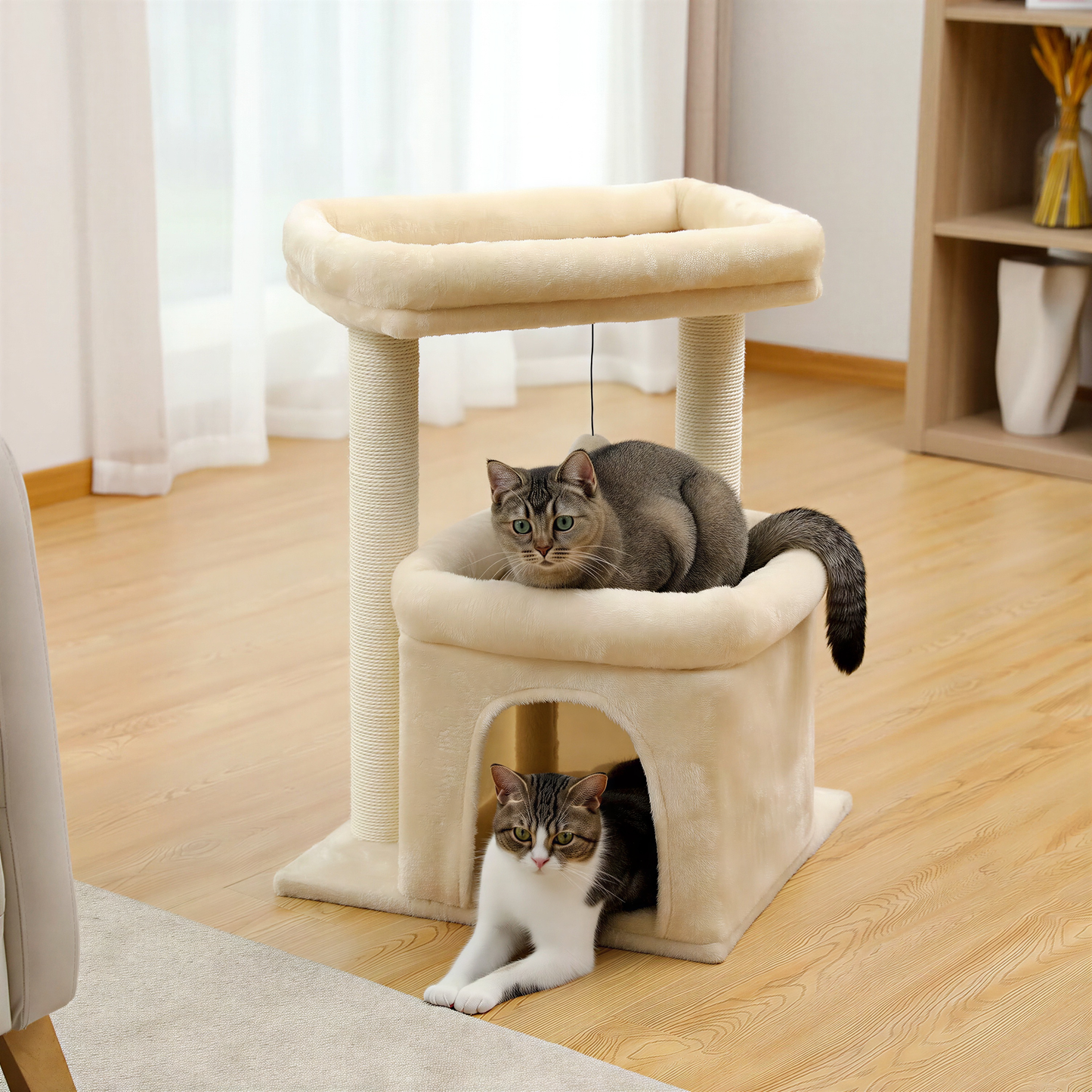 petit arbre à chat | Lampo