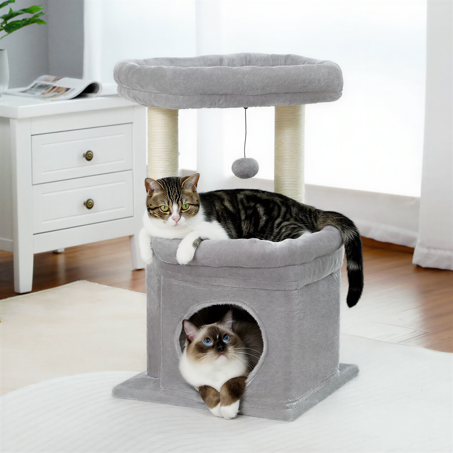Petit arbre à chat | Ontano