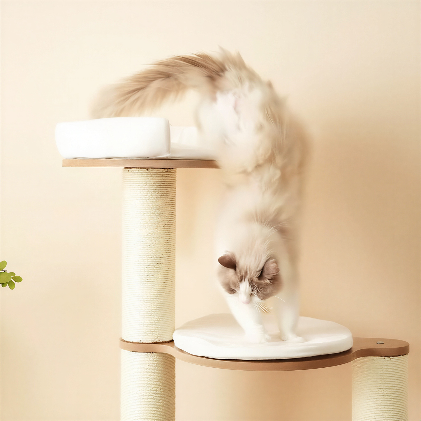 Arbre à chat XXL pour Maine Coon | Caligo