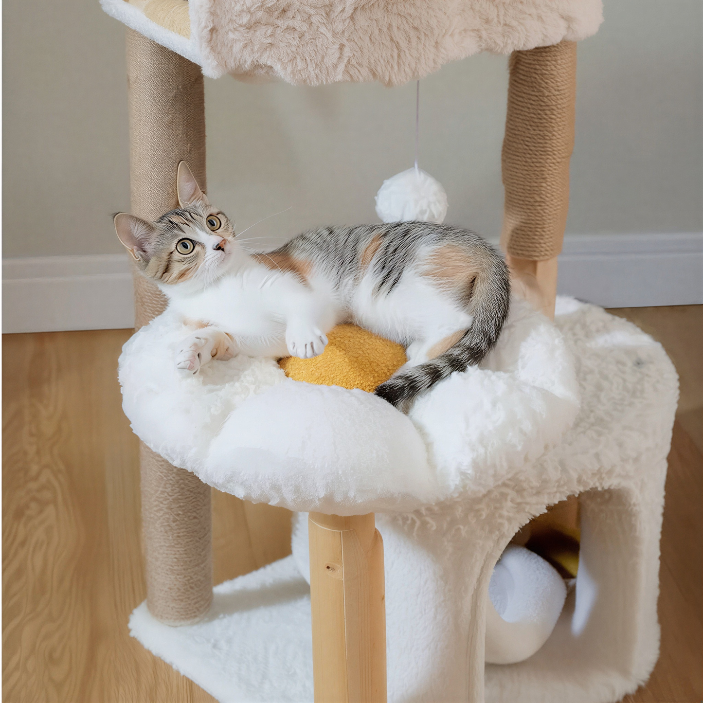 Arbre à Chat en Bois Design | Salice