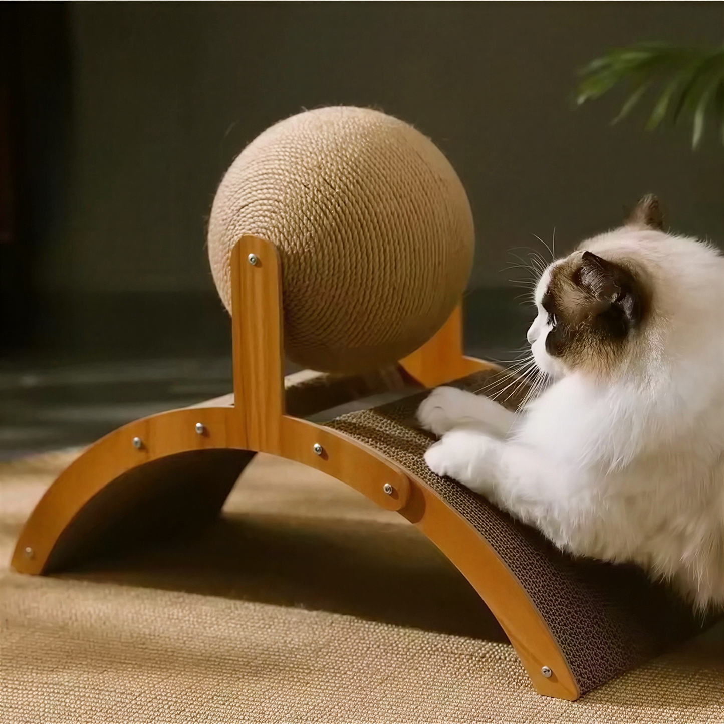 Griffoir à boule 2 en 1 bois et sisal pour chat