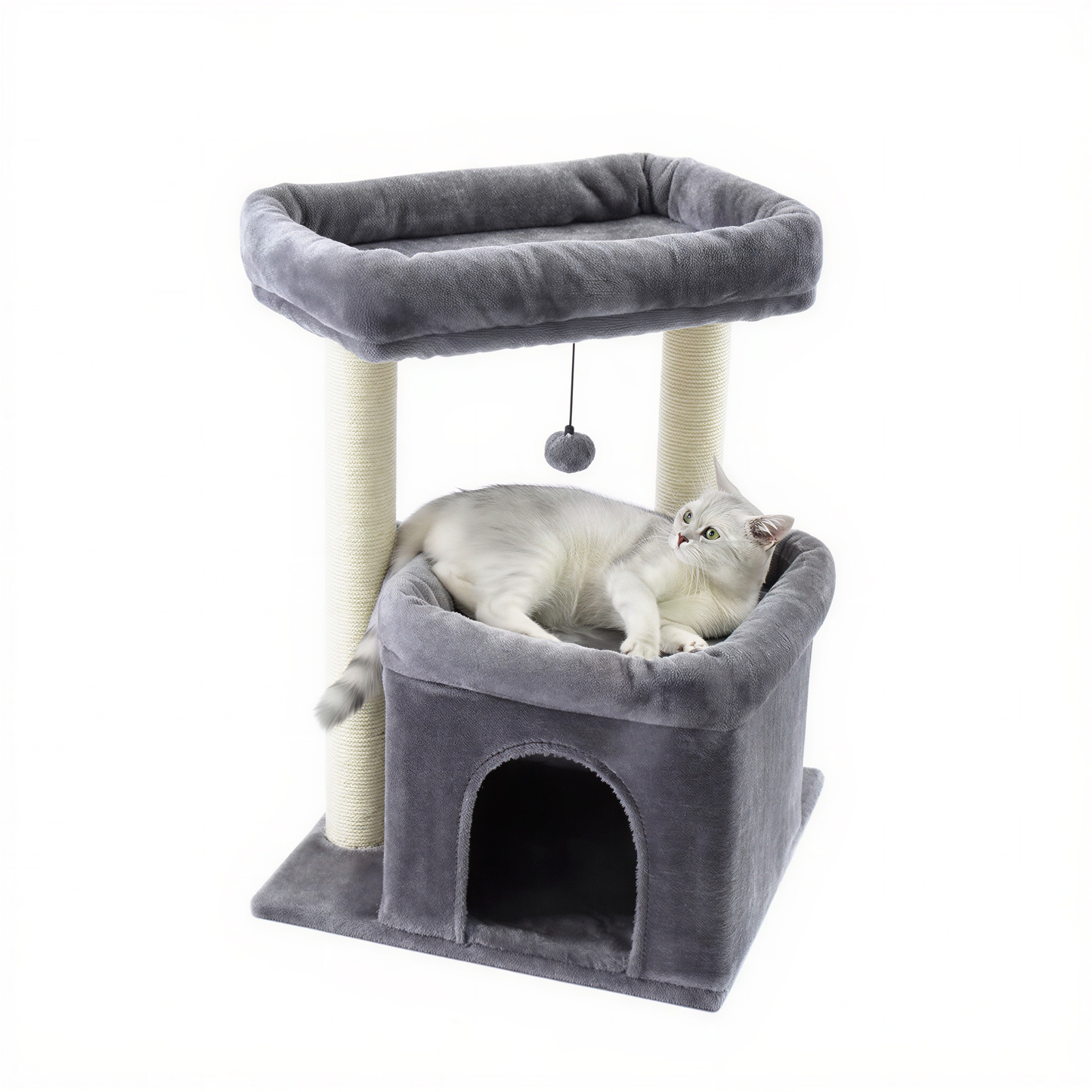 petit arbre à chat | Lampo