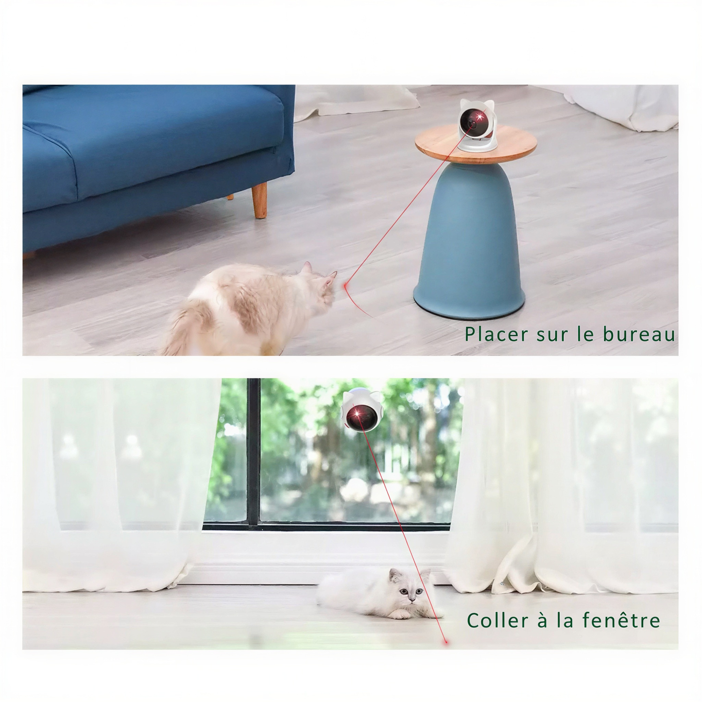 Jouet laser automatique pour chat LaserTrack, Rotation 360° rechargeable USB
