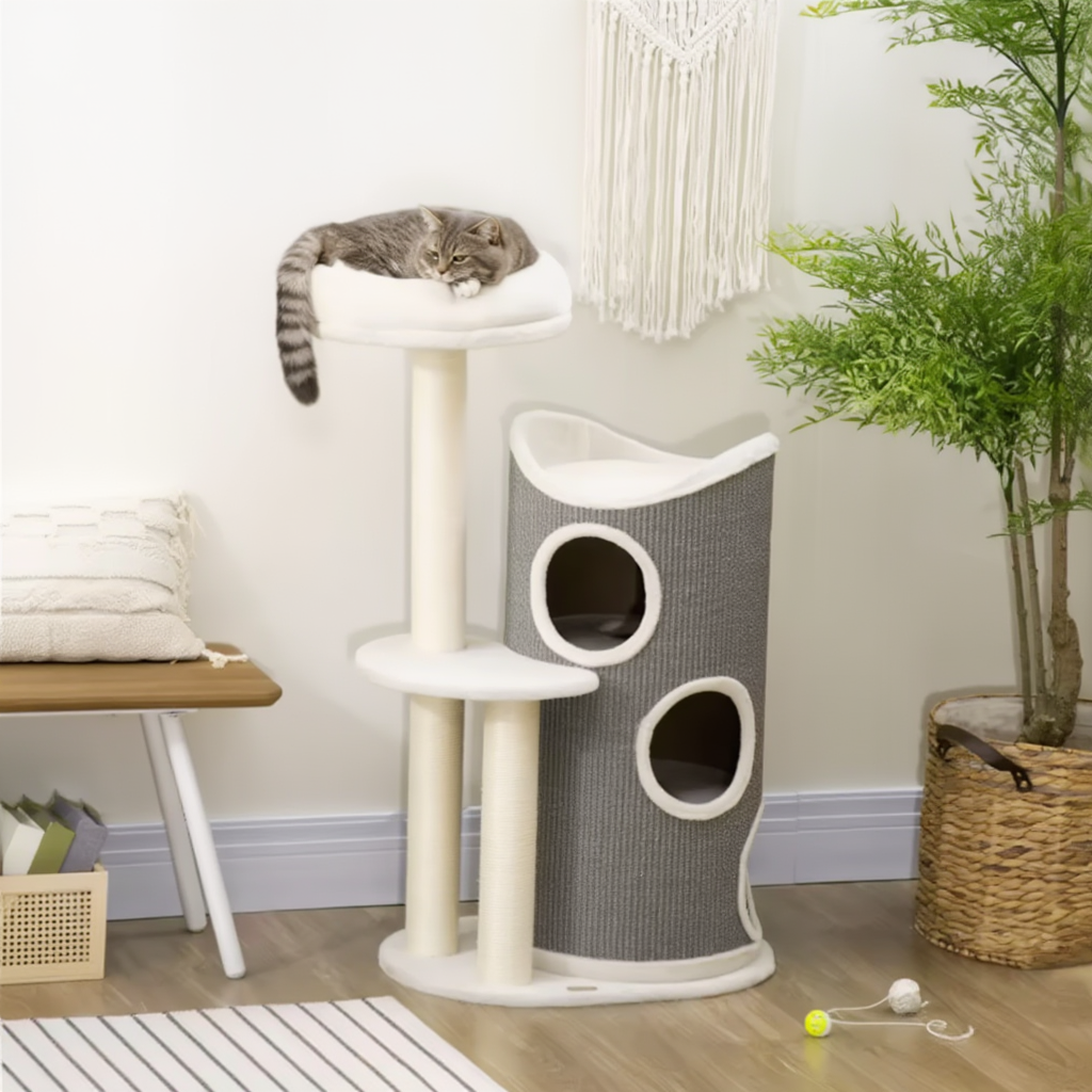 Arbre à Chat Tour | Cielo