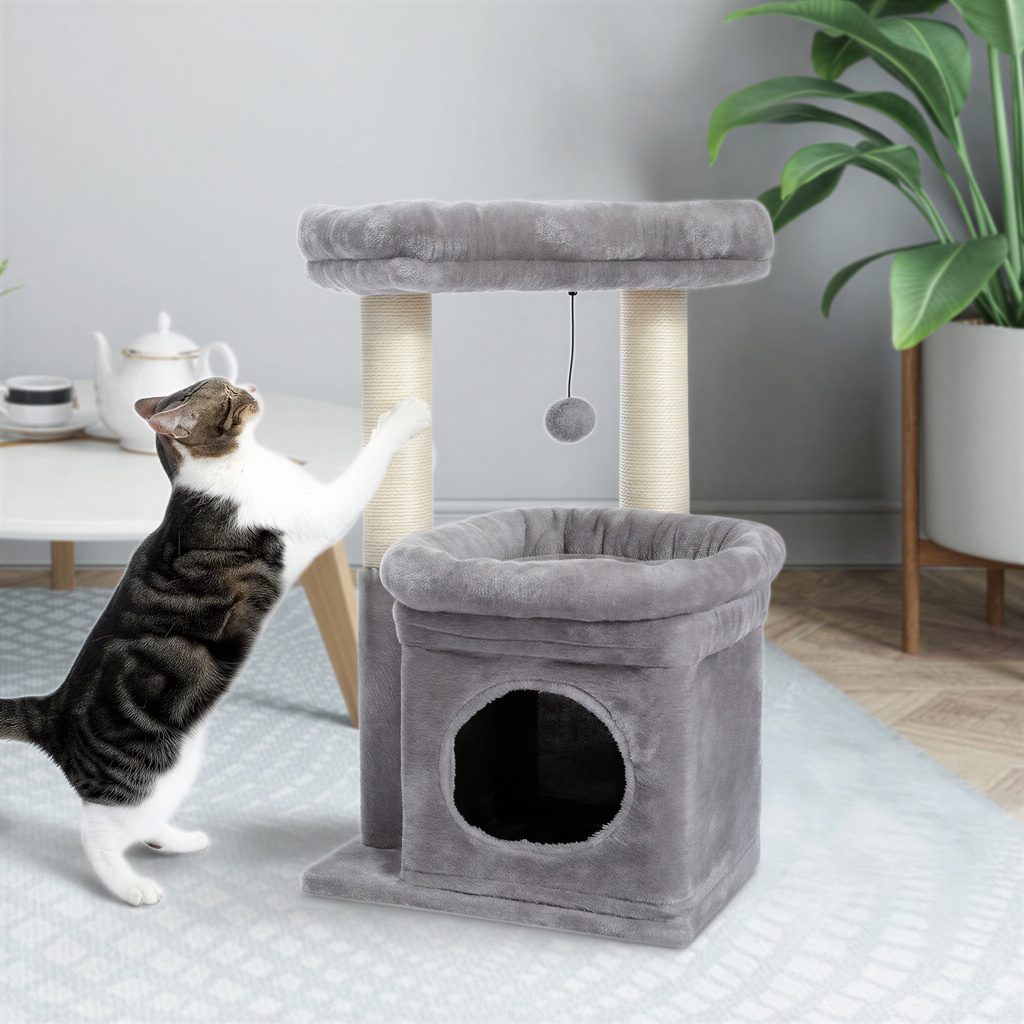 Petit arbre à chat | Ontano