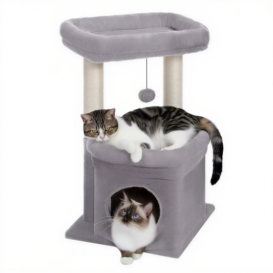 Petit arbre à chat | Ontano