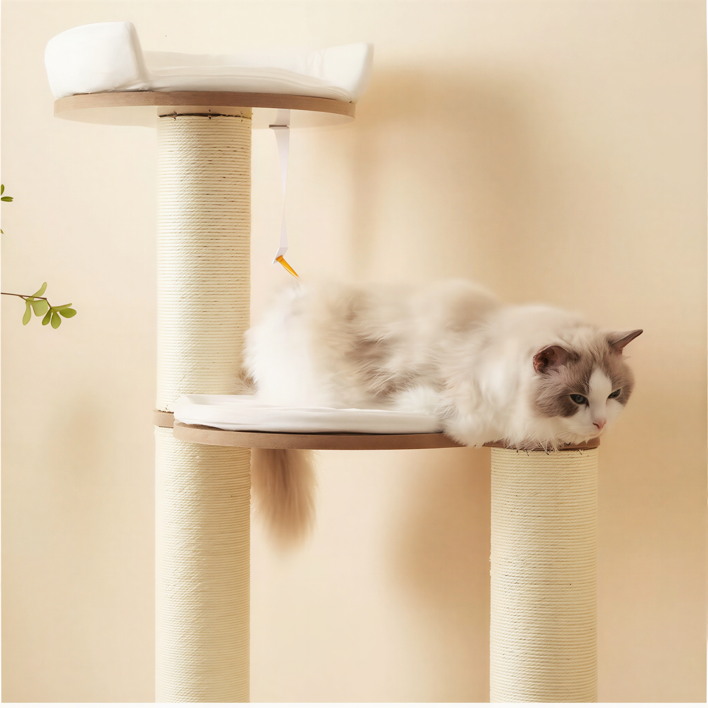 Arbre à chat XXL pour Maine Coon | Caligo