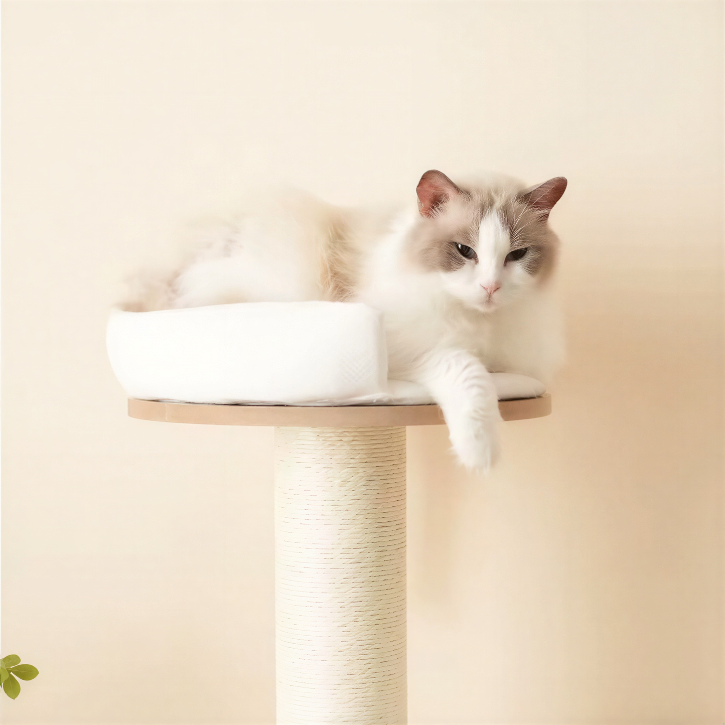Arbre à chat XXL pour Maine Coon | Caligo