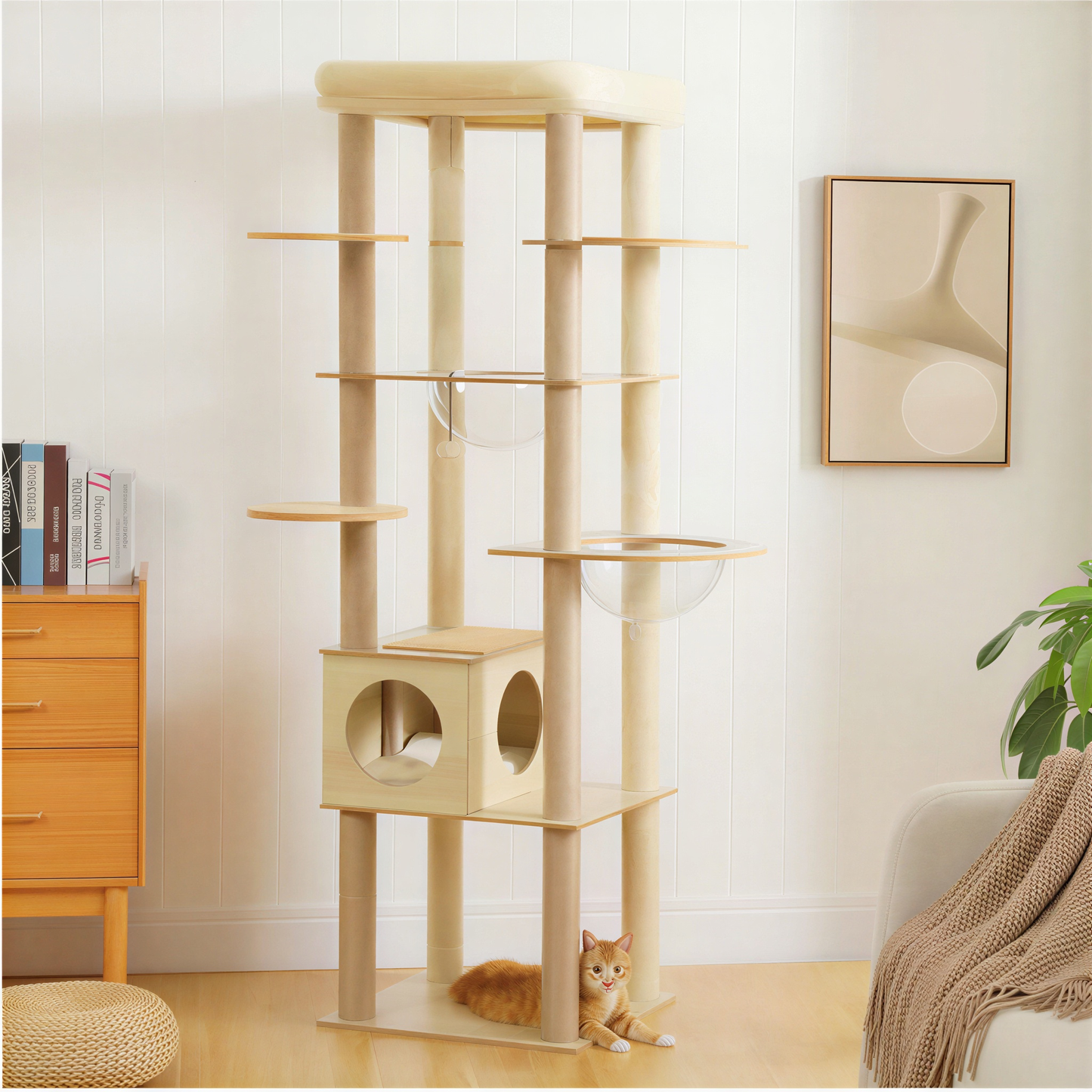 Arbre à chat en bois | Lucido