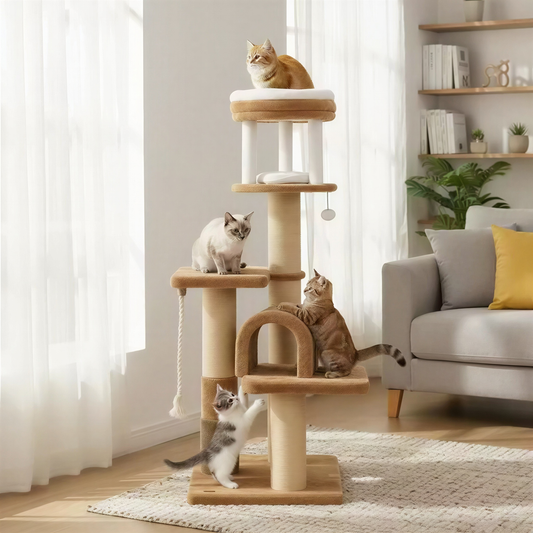 Arbre a chat XXl 164 cm| Alba