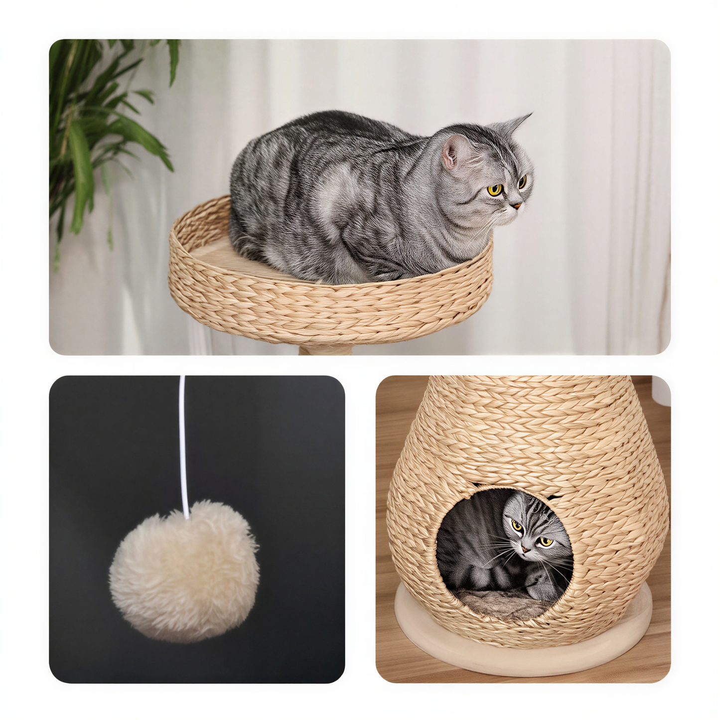 Arbre à chat rotin | Picta