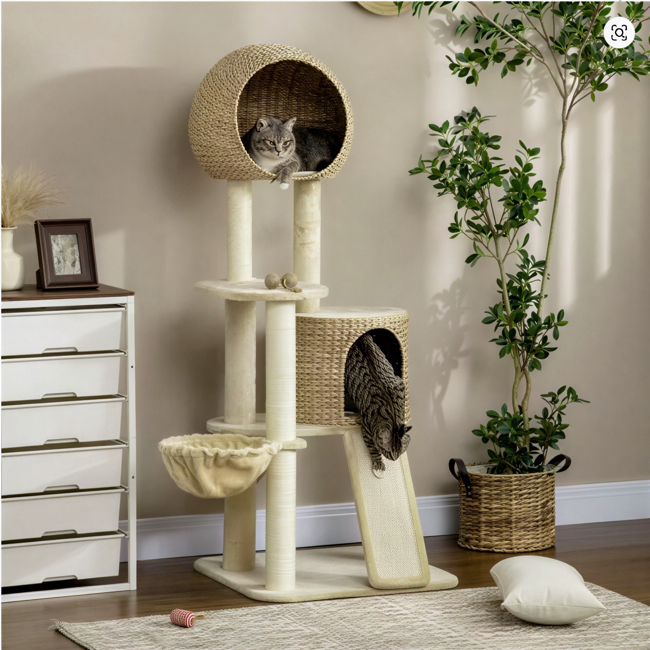 Arbre à chat tressé | Ardito