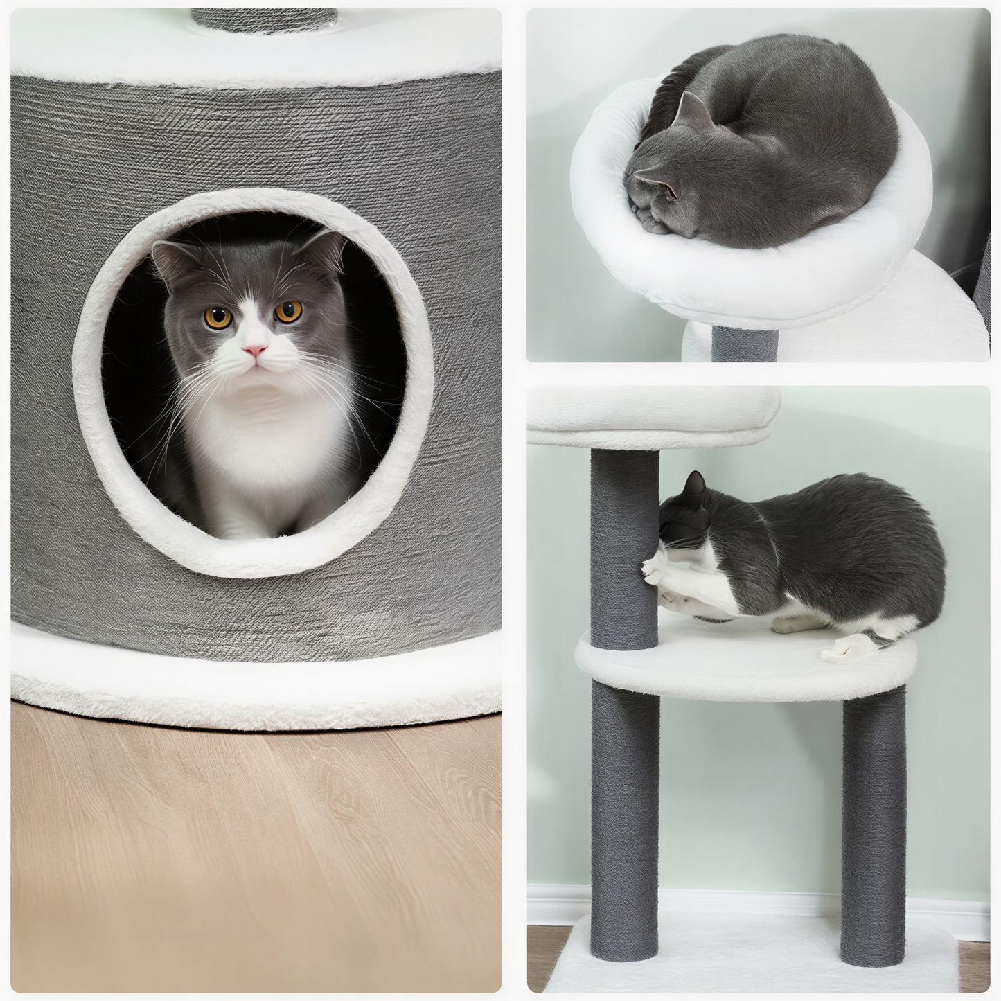 Petit arbre à chat | Stella