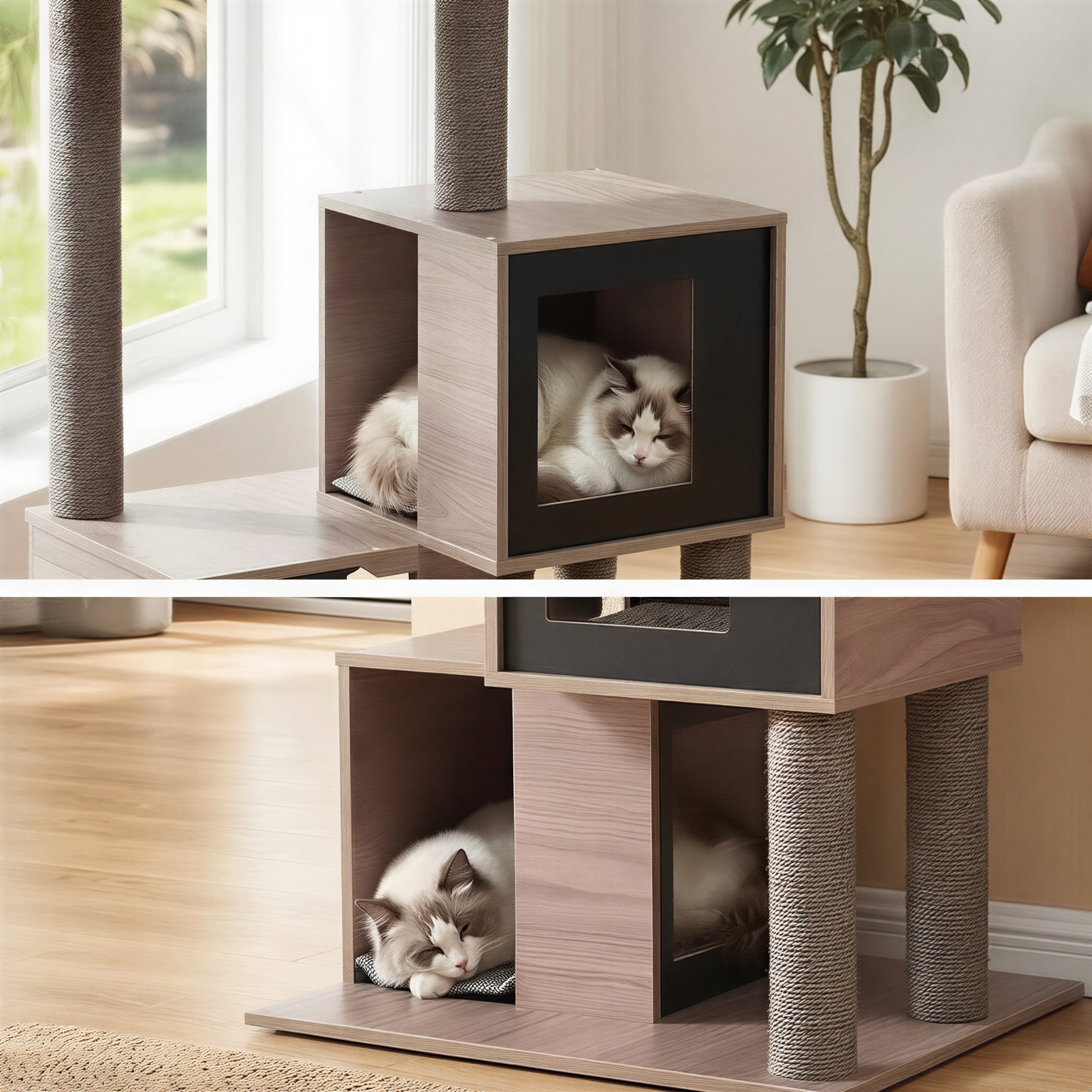 Petit arbre à chat en bois design | Aquilla
