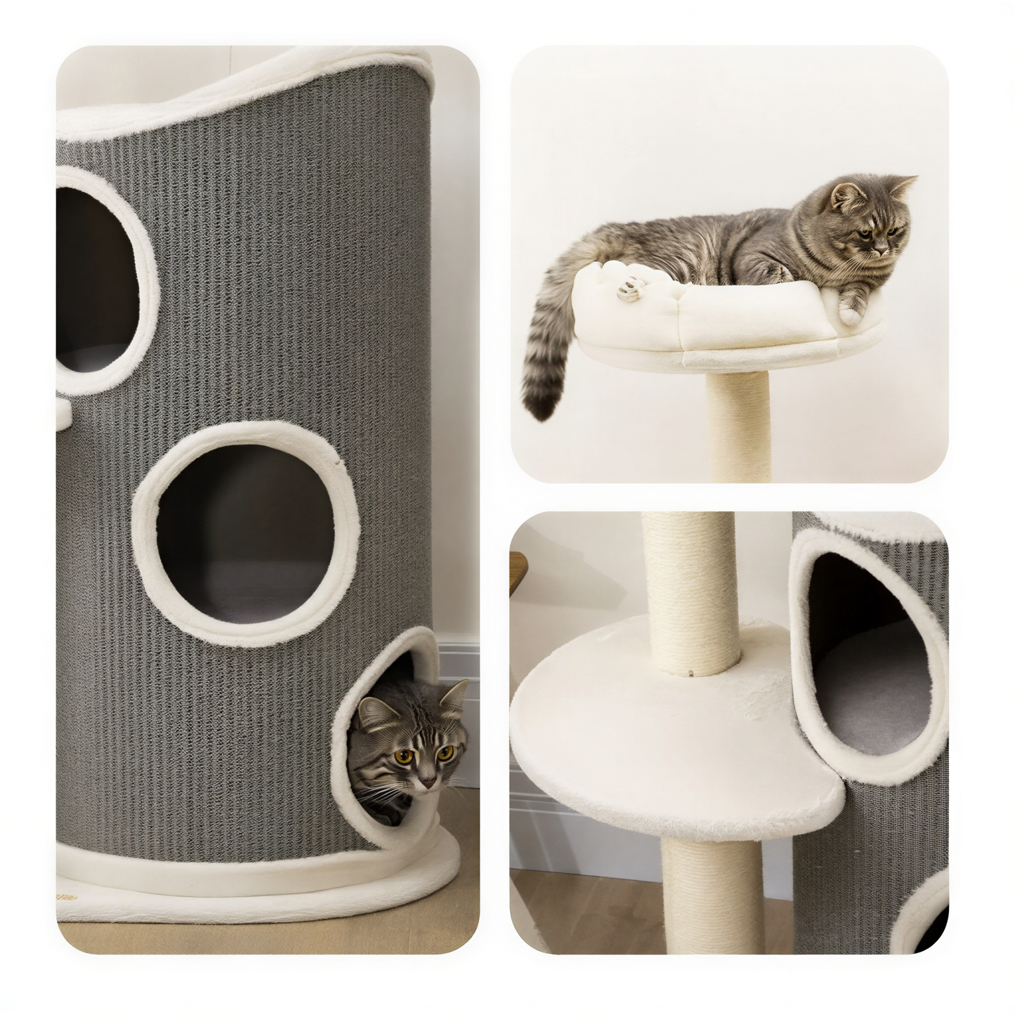 Arbre à Chat Tour | Cielo