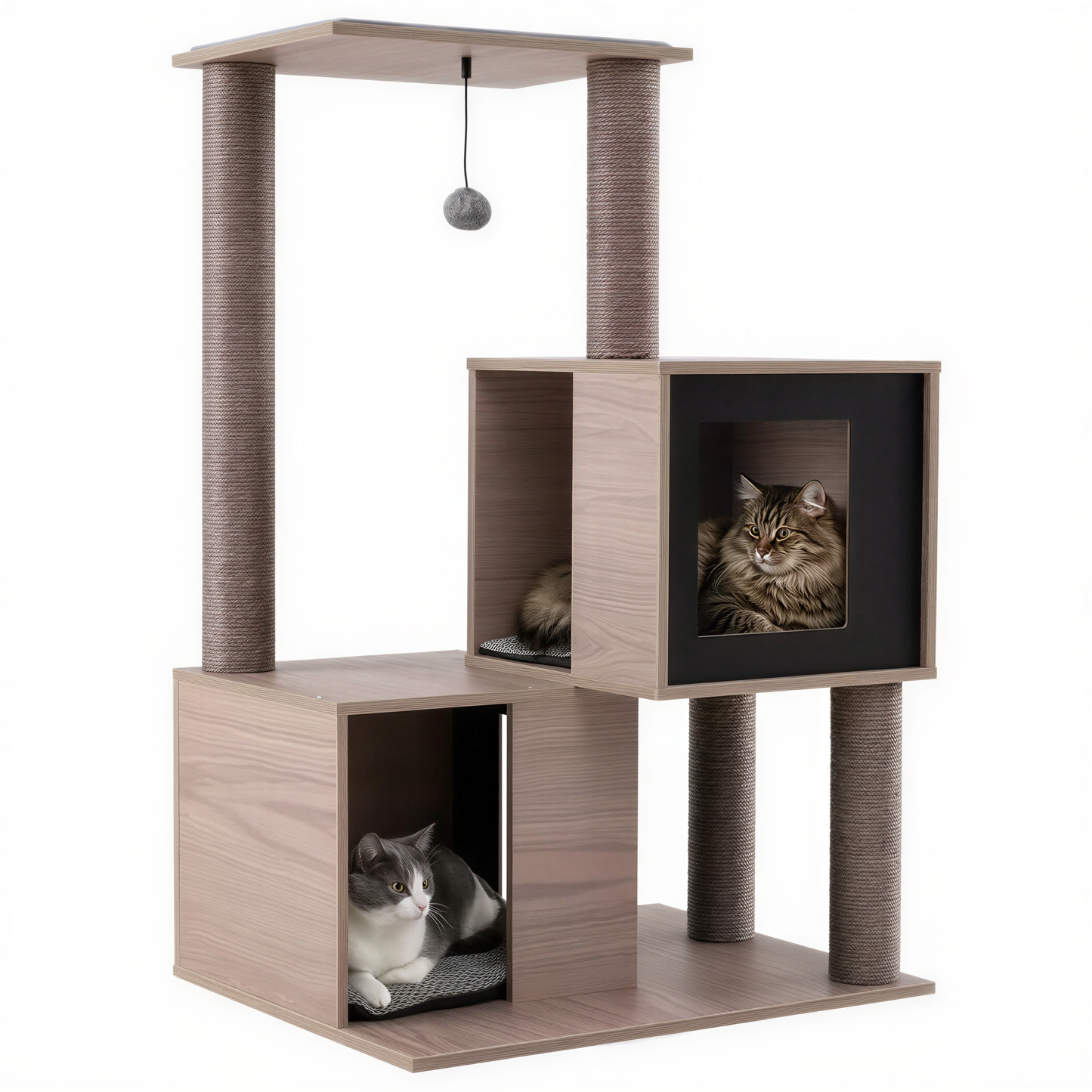 Petit arbre à chat en bois design | Aquilla