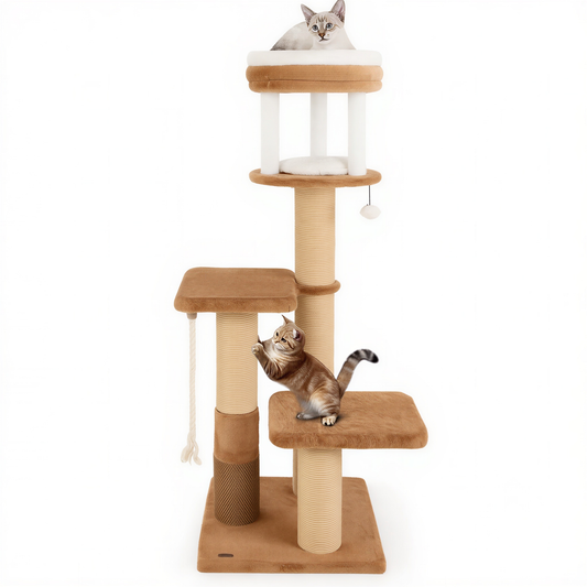 Arbre a chat XXl 164 cm| Alba