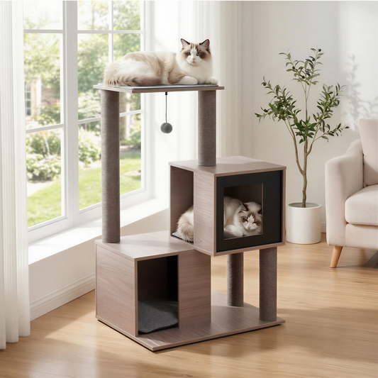 Petit arbre à chat en bois design | Aquilla