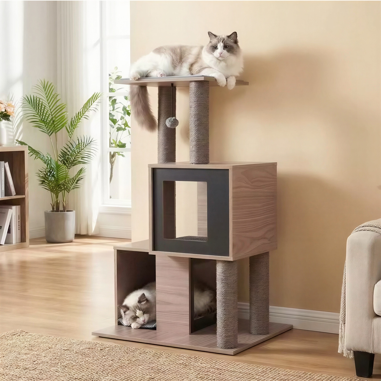 Petit arbre à chat en bois design | Aquilla